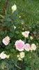 IMG_20160809_101733