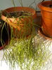 DSCN1289[1]