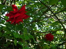 DSCN4871