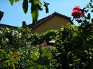 DSCN4873
