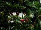 DSCN4876