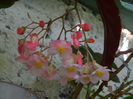 DSCN4883