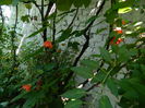 DSCN4886