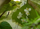 DSCN4892