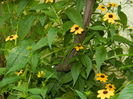 DSCN4900