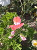 IMG_20160809_154624