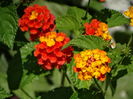 DSC09751