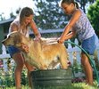 girls-washing-dog