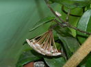 DSCN1432