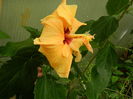 DSCN1436