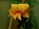 DSCN2572