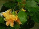 DSCN2575