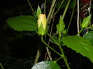 DSCN2815