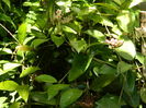 DSCN2854