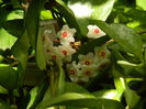 DSCN2856