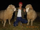 Picture 247