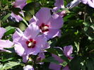DSC09805