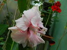DSCN4359