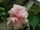 DSCN4360