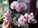 20160812_090225