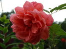 DSC09826