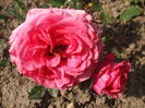 DSCF7968