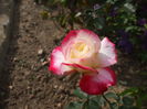 DSCF7970