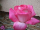 DSCF8024