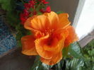 DSCN1304[1]