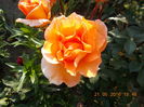 DSCN2387