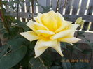 DSCN2416