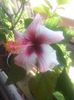 20160806_101742