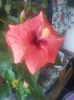 20160809_100249