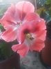 20160809_074409
