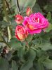 20160813_135021
