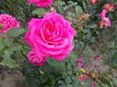 DSCN2484