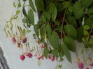 DSCN1315[1]