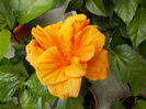 DSCN1336[1]