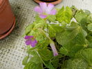 DSCN1338[1]