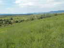 DSCN1325[1]
