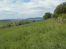 DSCN1326[1]