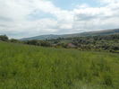 DSCN1328[1]