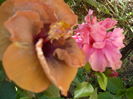 P1290160