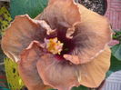 P1290164