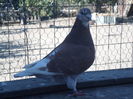 SAM_1502