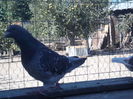 SAM_1512