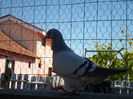 SAM_1543