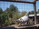 SAM_1563