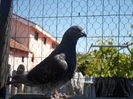 SAM_1589