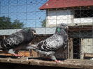SAM_1638